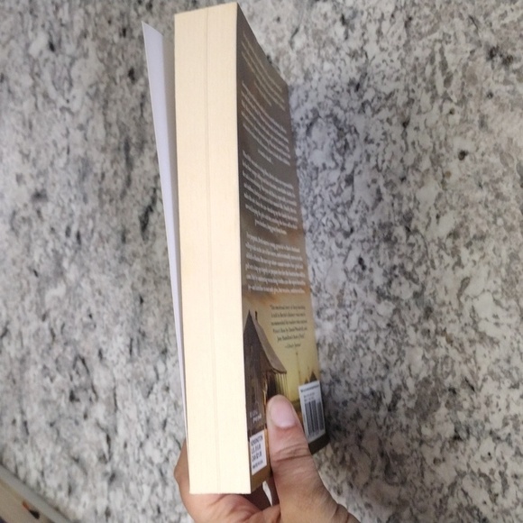 All The Forgiveness by Elizabeth Hardinger book - Picture 8 of 10